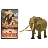 Eofauna Anancus arvernensis