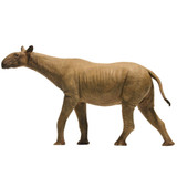 Eofauna Paraceratherium grangeri