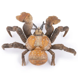 Papo Coconut Crab realistic toy figurine back view