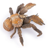Papo Coconut Crab
