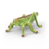 Schleich Insects Discovery Set grasshopper