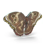 Schleich Insects Discovery Set butterfly