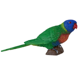 Mojo Rainbow Lorikeet