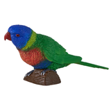 Mojo Rainbow Lorikeet