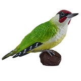 Mojo Green Woodpecker