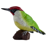 Mojo Green Woodpecker