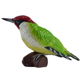 Mojo Green Woodpecker
