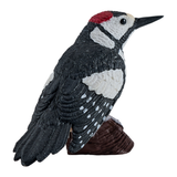 Mojo Greater Spotted Woodpecker