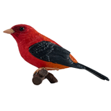 Mojo Scarlet Tanager