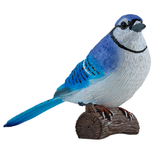 Mojo Blue Jay