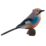 Mojo European Jay bird figurine
