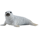 Mojo Grey Seal Pup