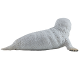Mojo Grey Seal Pup