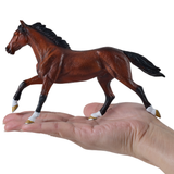 Mojo Thoroughbred Horse