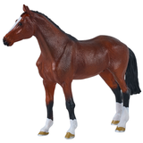 Mojo Dutch Warmblood