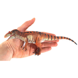 Creative Beast Allosaurus Jimmadseni 1:35 Scale size in hand