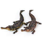 Haolonggood Sarcosuchus models