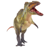 Haolonggood Acrocanthosaurus Zhang Qing front view