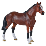 Mojo Dutch Warmblood 2026