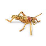 Toymany Desert Locust model