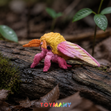 Toymany Rosy Maple Moth lifestyle