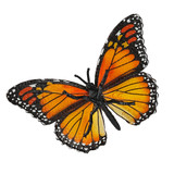 Toymany Monarch Butterfly toy