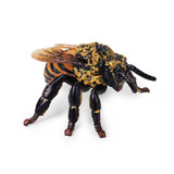 Toymany Honeybee toy