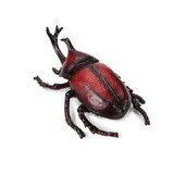 Toymany Japanese Rhinoceros Beetle back view
