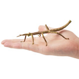 Toymany Stick Insect size in hand