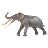 Haolonggood Stegolophodon Grey