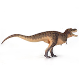 Haolonggood Tarbosaurus Brown Yang Lin