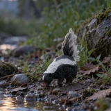 Toymany Striped Skunk toy figurine lifestyle