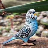 Toymany Blue Budgerigar bird toy lifestyle