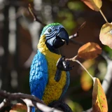 Toymany Blue and Yellow Macaw lifestyle