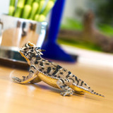 Safari Ltd Horned Lizard IC