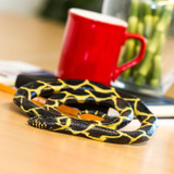 Safari Ltd Chain Kingsnake IC