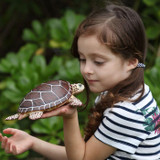 Safari Ltd Sea Turtle IC