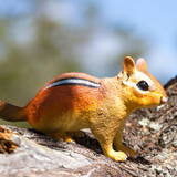 Safari Ltd Eastern Chipmunk IC