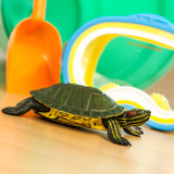 Safari Ltd Red-Eared Slider Turtle IC