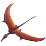 Safari Ltd Rhamphorhynchus