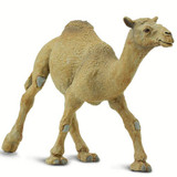 Safari Ltd Dromedary Camel