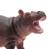 Safari Ltd Hippopotamus Baby