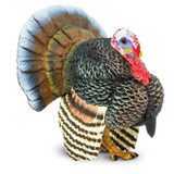 Safari Ltd Turkey