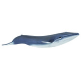 Safari Ltd Blue Whale