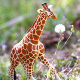 Safari Ltd Reticulated Giraffe Jumbo