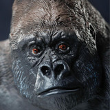 Safari Ltd Silverback Gorilla Jumbo