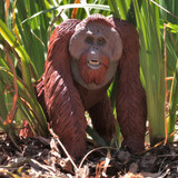 Safari Ltd Bornean Orangutan Jumbo
