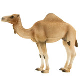 Mojo Arabian Camel