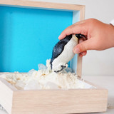 Papo Emperor Penguin sensory play hand MiniZoo 