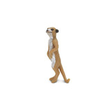 Safari Ltd Mini Meerkats